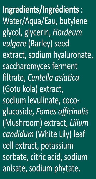AIM REPLY - Essence/Toner list of ingredients on a green background