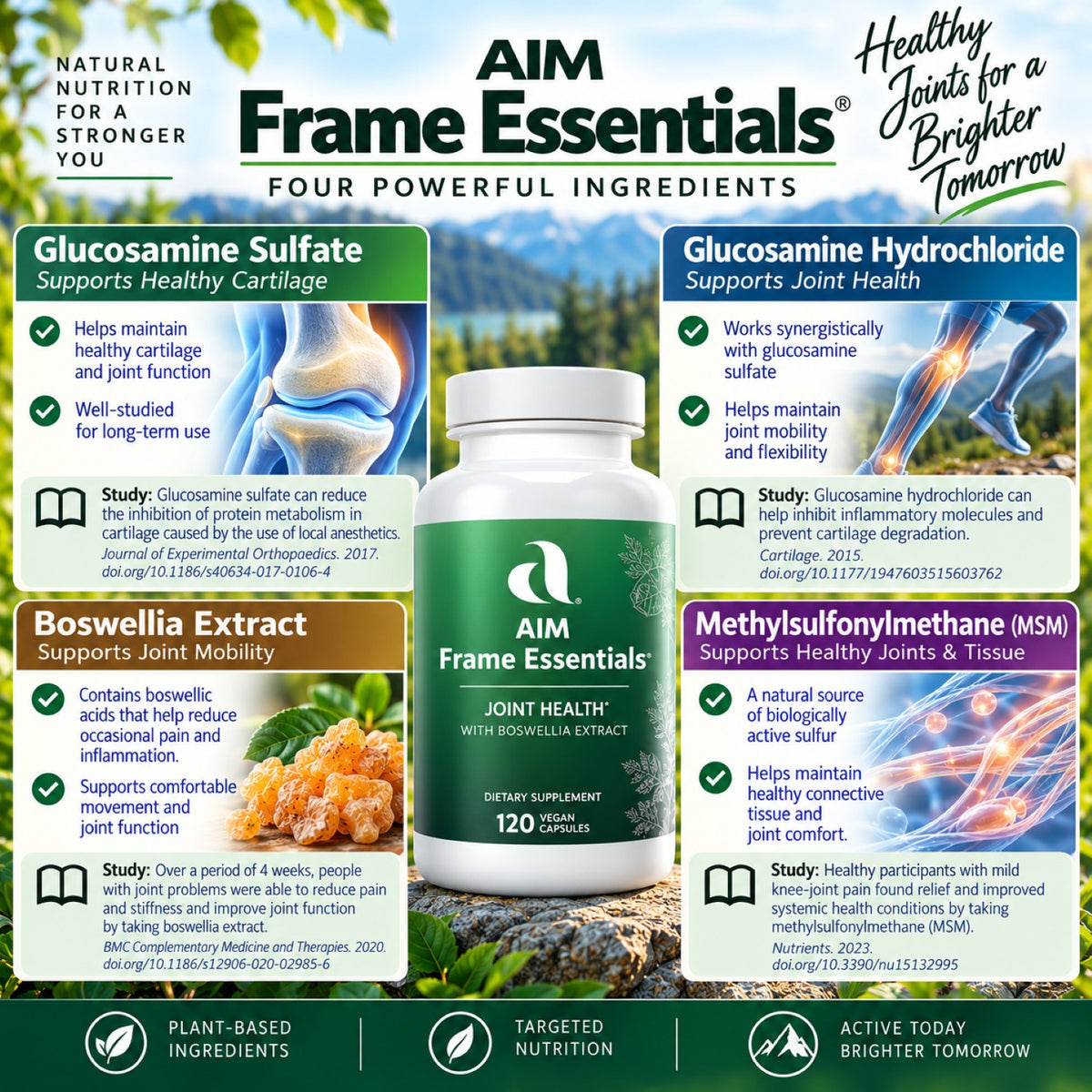 A promotional infographic for AIM Frame Essentials Joint Health supplements, featuring a white bottle of 120 caplets centered on a blue and white background with text blocks for Glucosamine Sulfate, Glucosamine Hydrochloride, Methylsulfonylmethane (MSN), and Boswellia Extract.