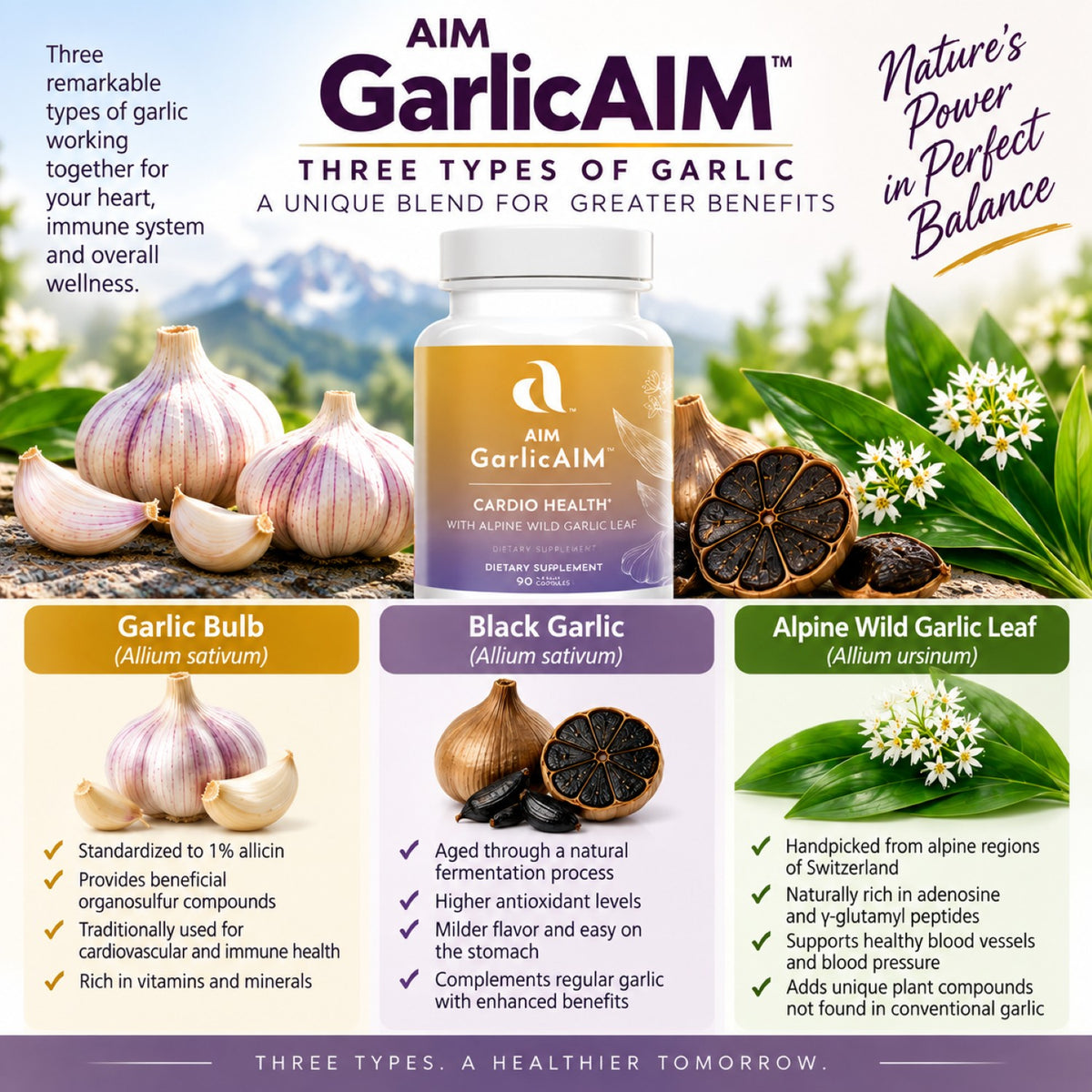 An infographic titled AIM GarlicAIM about three types of garlic, featuring a bottle of garlicAIM with garlic bulbs, garlic leaves,  and a sliced garlic bulb around it, and three labeled sections for Garlic Bulb, Black Garlic, and Alpine Wild Garlic Leaf with descriptive text and icons.