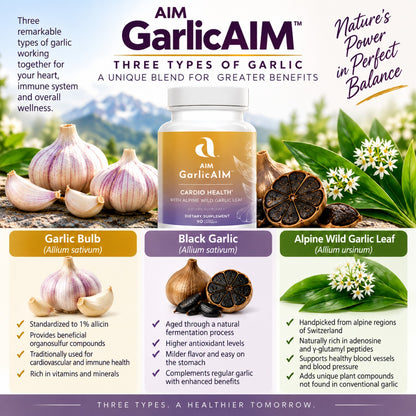 An infographic titled AIM GarlicAIM about three types of garlic, featuring a bottle of garlicAIM with garlic bulbs, garlic leaves,  and a sliced garlic bulb around it, and three labeled sections for Garlic Bulb, Black Garlic, and Alpine Wild Garlic Leaf with descriptive text and icons.