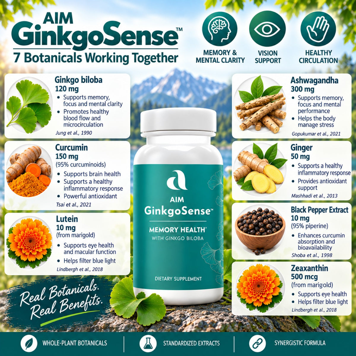 A promotional infographic for AIM GinkgoSense dietary supplement, featuring a central bottle labeled 'Memory Health with Ginkgo Biloba' surrounded by text blocks detailing the benefits of seven botanical ingredients (Ginkgo biloba, Curcumin, Ashwagandha, Ginger, Black Pepper Extract, Lutein, and Zeaxanthin) with corresponding illustrations of ingredients on a tropical forest background.