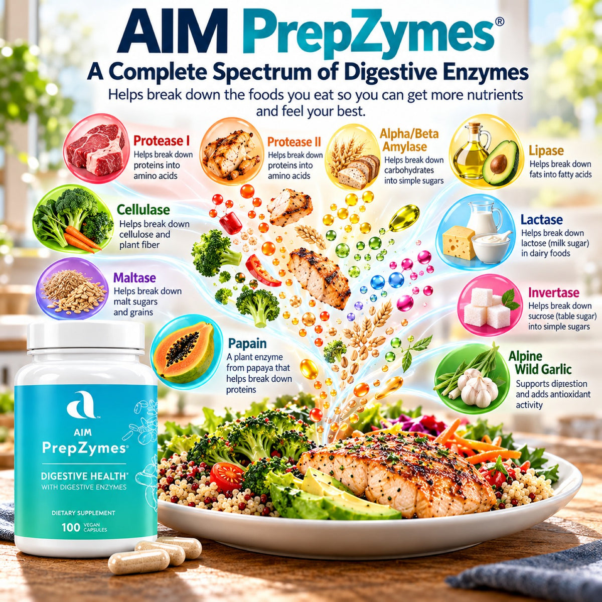 AIM PrepZymes digestive enzyme graphic featuring a healthy meal and nine digestive enzymes: Protease I and Protease II help break down proteins into amino acids; alpha/beta amylase helps break down carbohydrates; lipase helps break down fats and oils; cellulase helps break down plant fiber; lactase helps break down lactose in dairy; maltase helps break down malt sugars and grains; invertase helps break down refined sugars; and papain from papaya helps break down proteins.