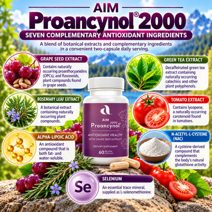AIM Proancynol 2000 dietary supplement bottle centered on a colorful infographic background detailing seven botanical and supplement ingredients including grape seed, green tea, rosemary leaf, tomato, alpha-lipoic acid, N-acetyl-L-cysteine, and selenium.